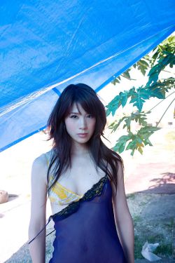 婚姻正义联盟